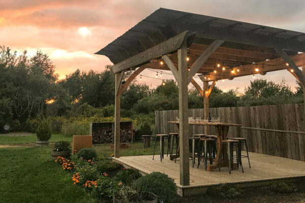 Patio covers for your backyard: The ultimate guide