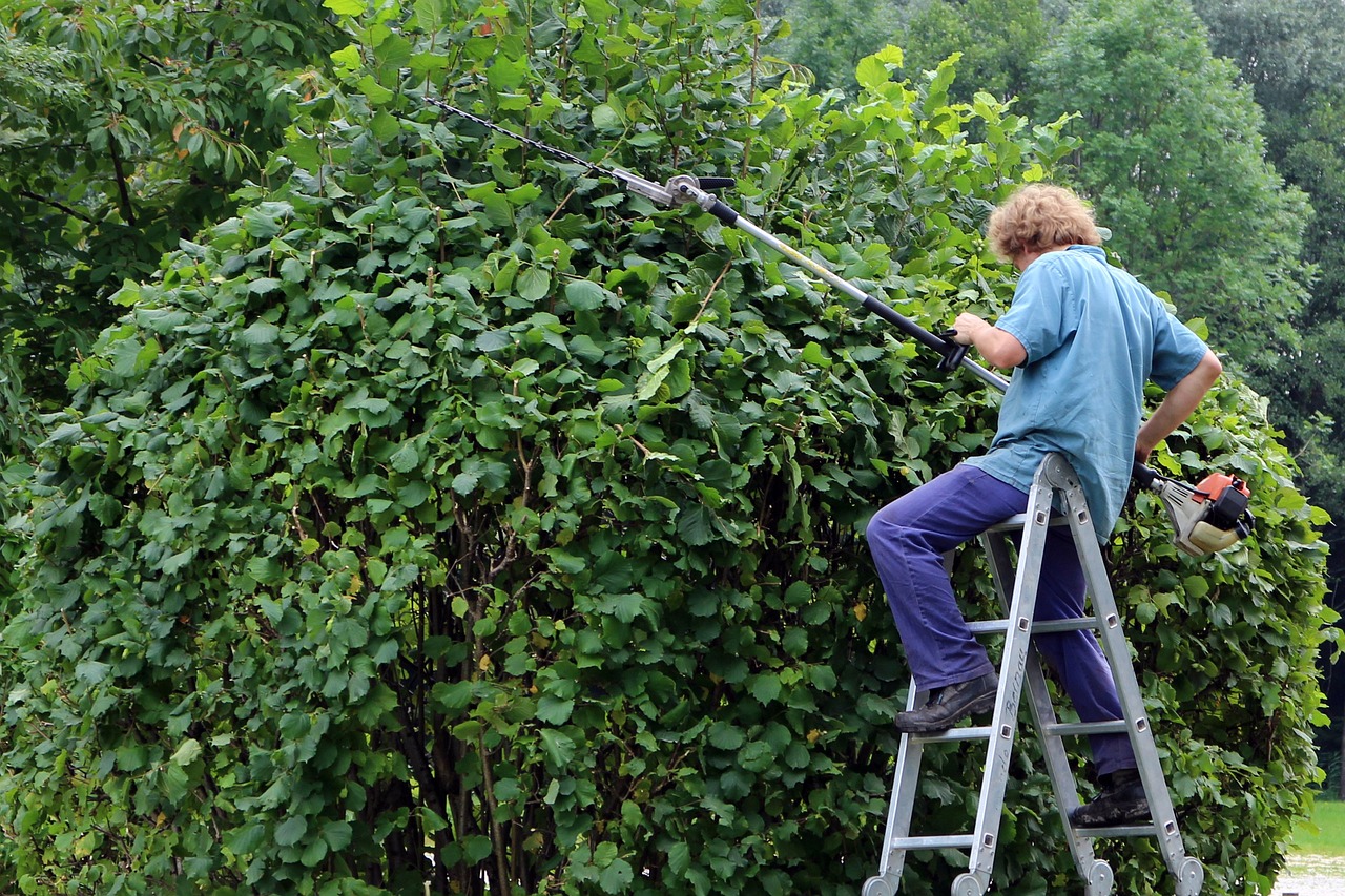 Protecting Your Roof from Texas Ice Storms Image 4