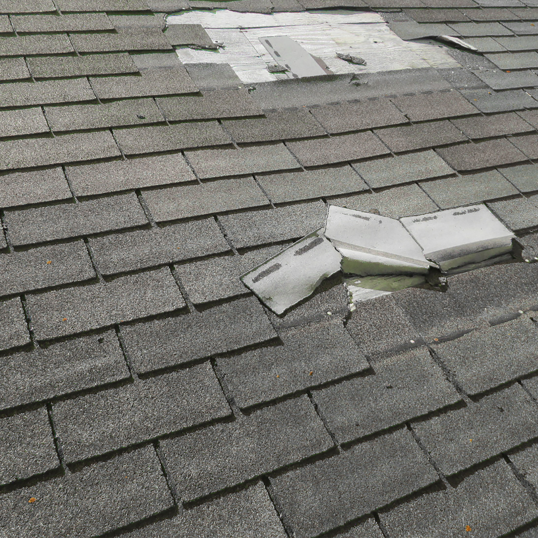 Toro Exteriors: Roof Inspections Services - image 106