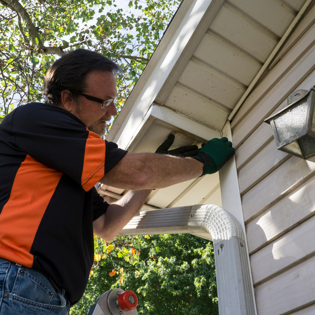 Toro Exteriors: Siding Installation - image 005